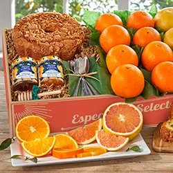 Florida Favorites category image