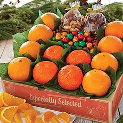 Gifts Under $50 category image