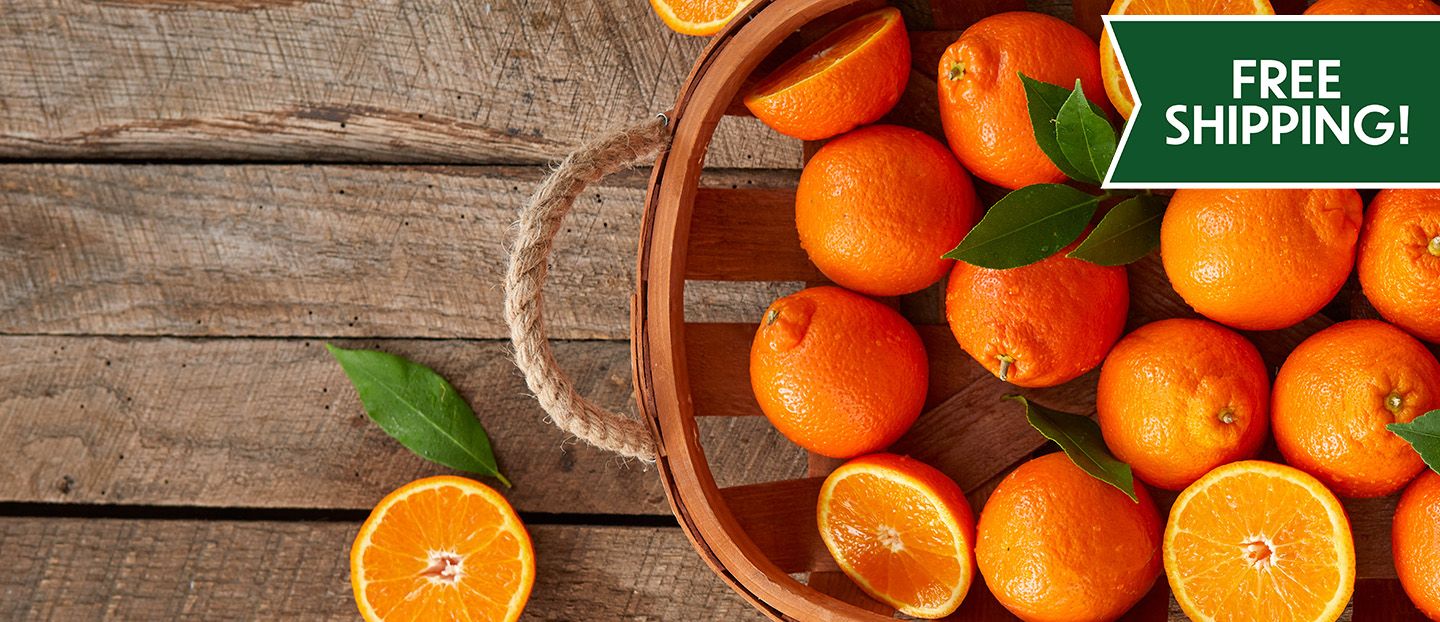 Valentine's Day Sale