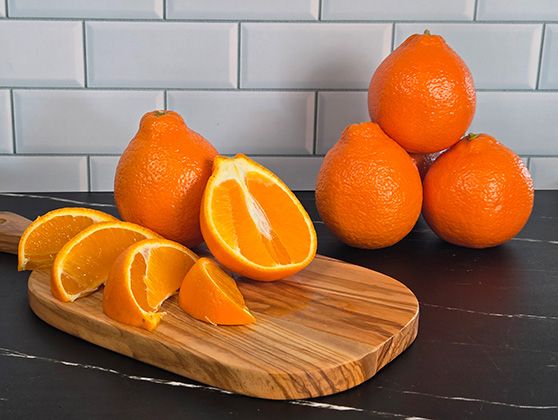 Honeybell Season at Sun Harvest Citrus 2