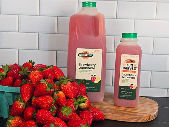 Honeybell Season at Sun Harvest Citrus 2