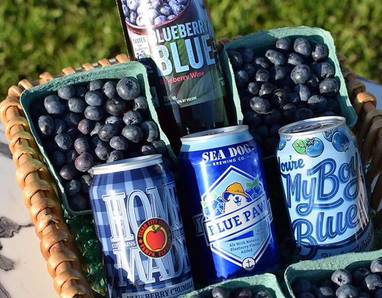 Blueberry Season at Sun Harvest Citrus 1