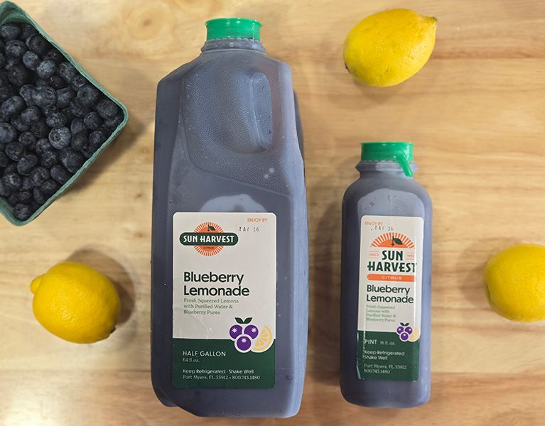 Blueberry Season at Sun Harvest Citrus 3