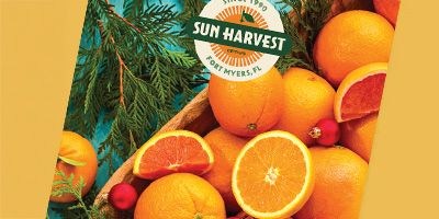 View/Request a Catalog