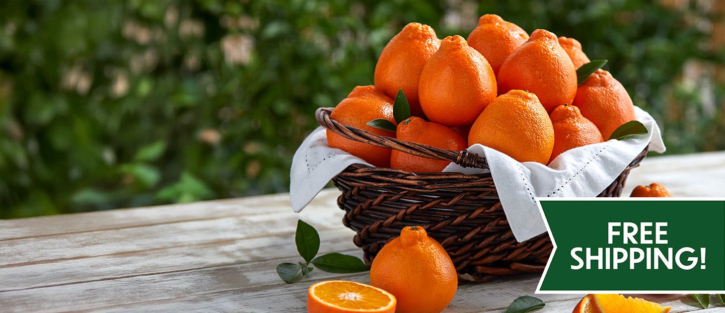 Valentine's Day Sale