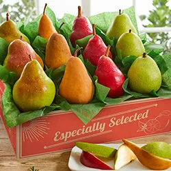 Fall Gifts category image