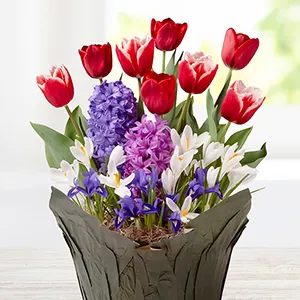Flower Gifts category image