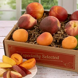 Apricots category image