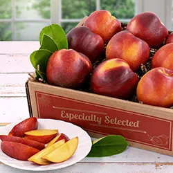 Nectarines category image