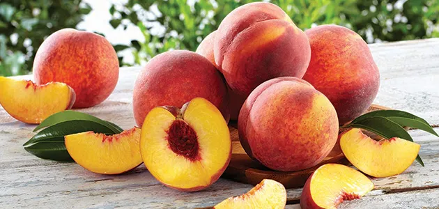Georgia Peaches Gifts