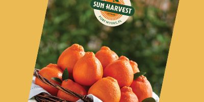 View/Request a Catalog