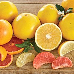Grapefruit category image