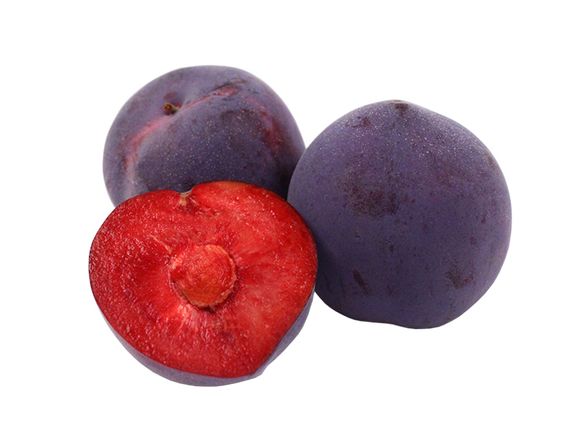 Midnight Rose Aprium