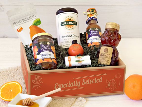 Orange Treasures - SHC Classics