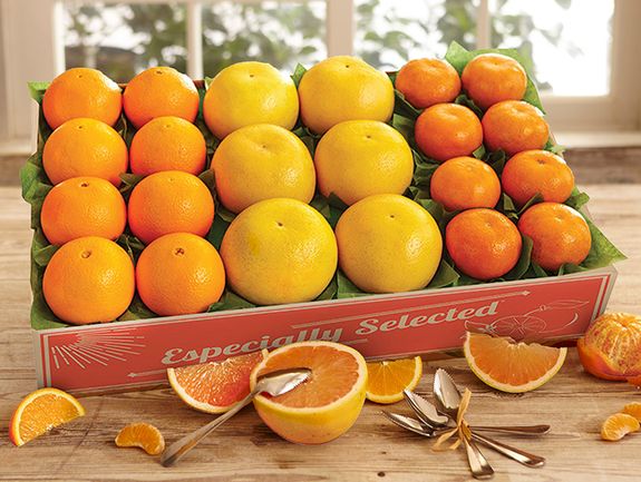 Florida Favorites | Sun Harvest Citrus
