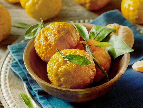 Gold Nugget Tangerines