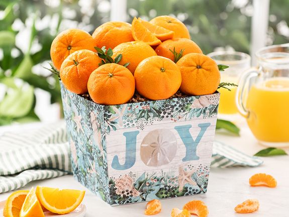Coastal Christmas All Fruit
