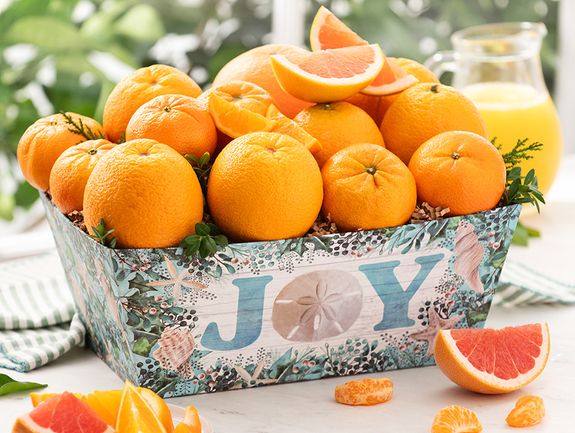 Large Coastal Christmas Citrus Box