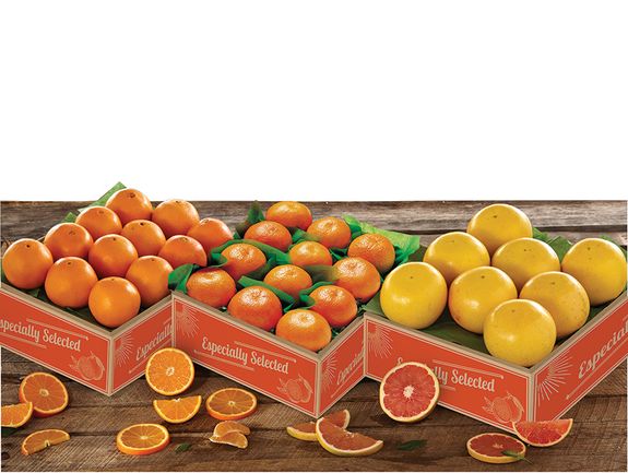 Triple Citrus Bonanza