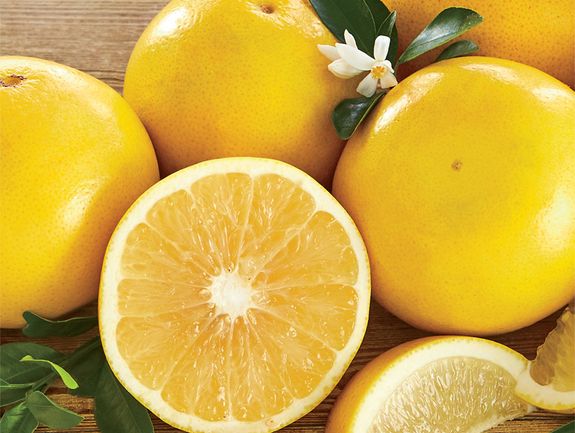 タペストリー 5本　セット まとめ　しんたろー GRAPEFRUIT Amazon.co.jp: タペストリー 5本 セット しんたろー GRAPEFRUIT