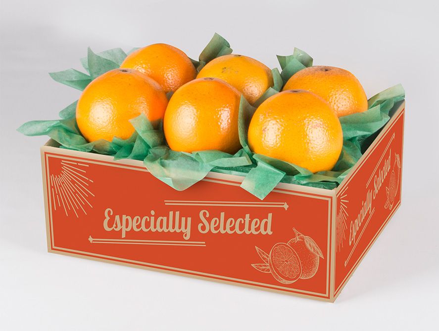 Navel Oranges Sampler