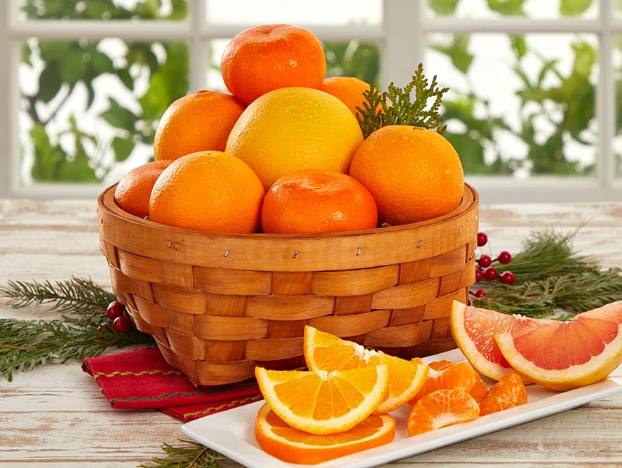Citrus Basket