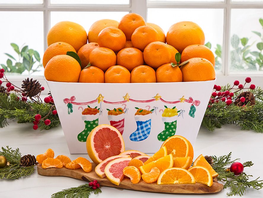 Sunbelt Stockings All-Citrus Basket Box
