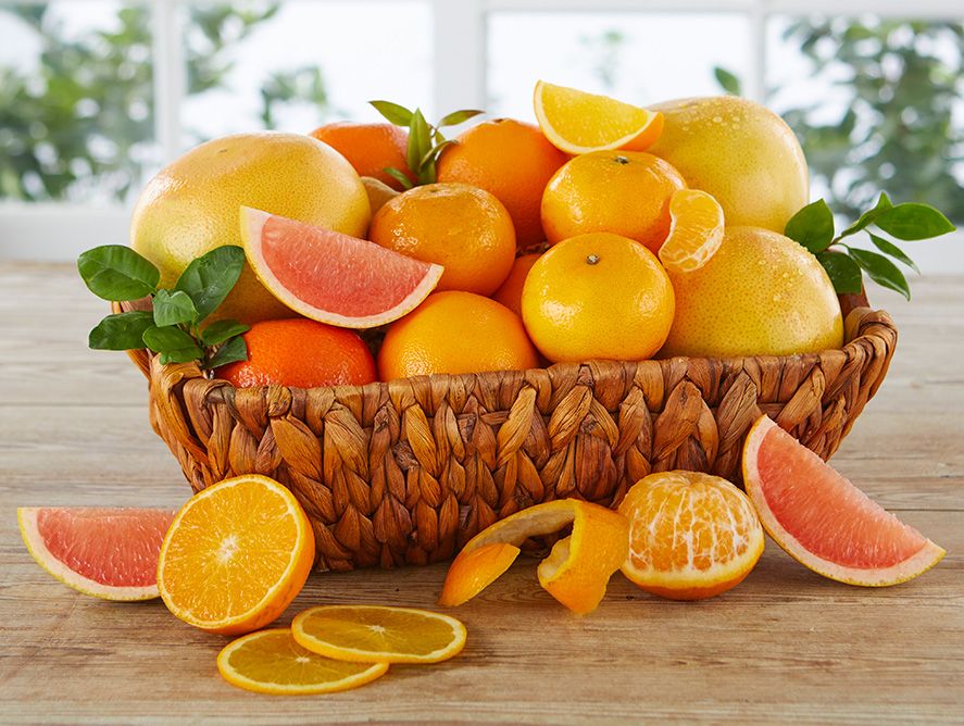 Grove Citrus Basket
