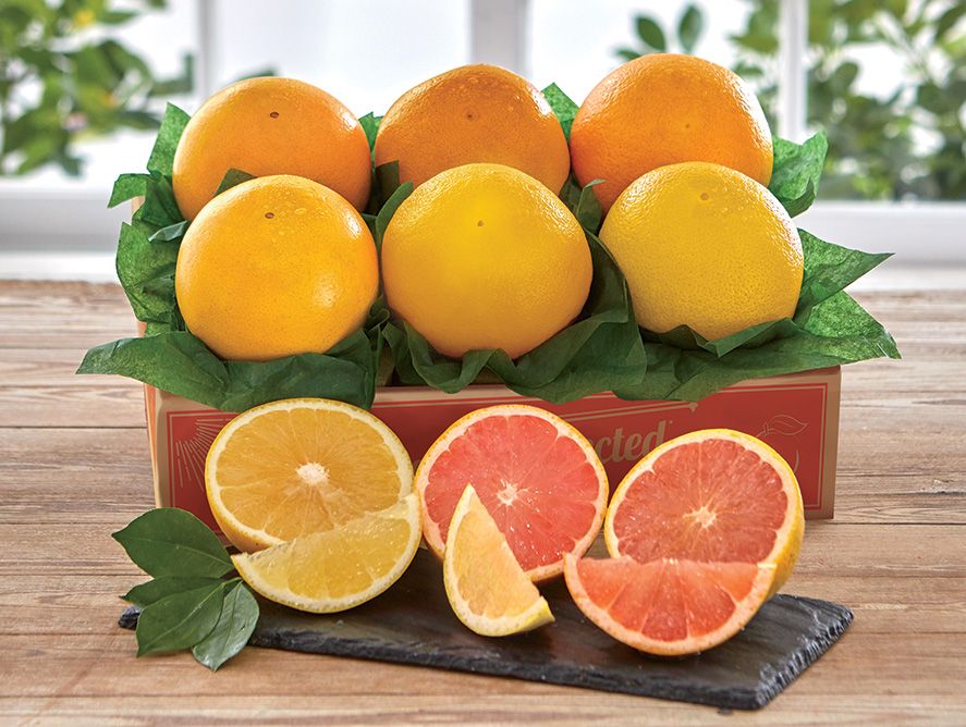 Grapefruit Sampler