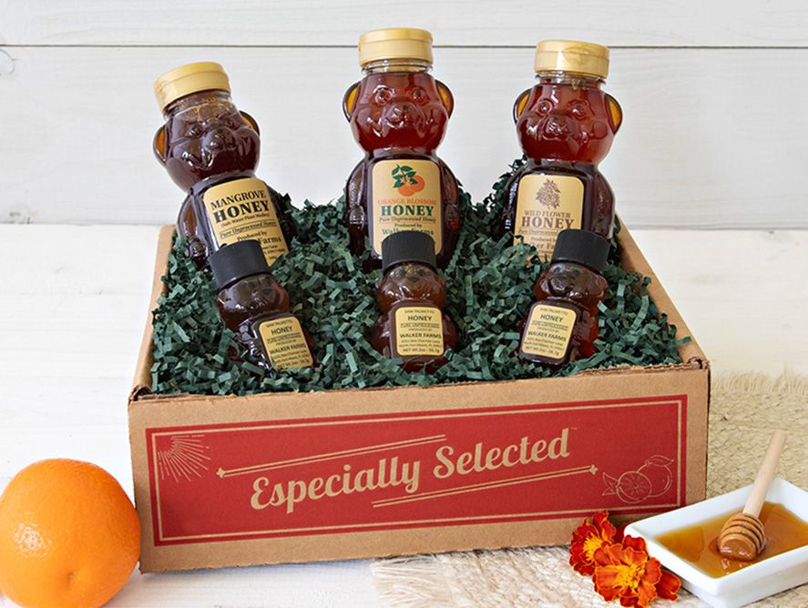 Honey Bear Collection - SHC Classics