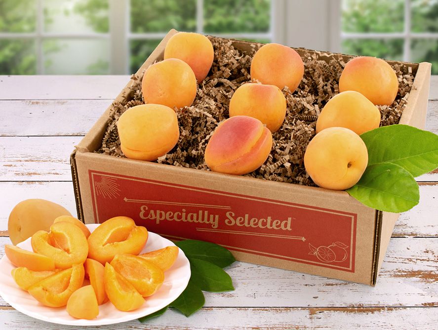 Farm-Fresh Apricots