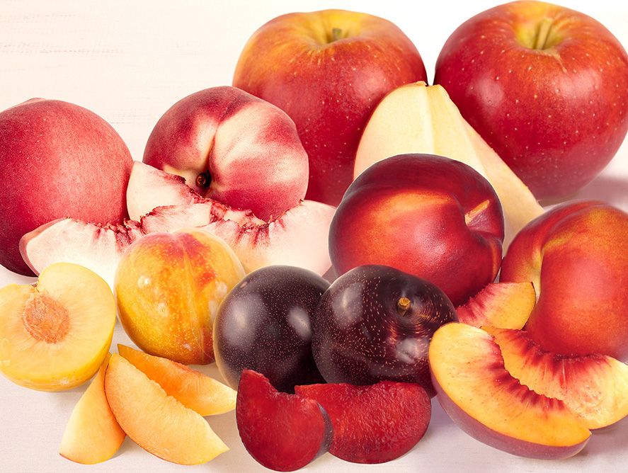 Pick of the Week Summer Sampler