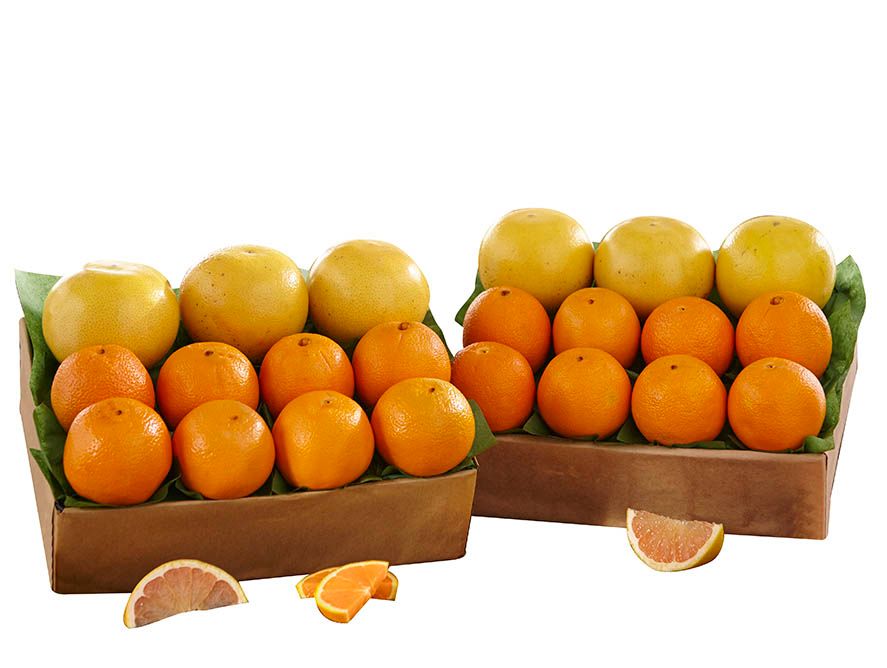 2 Trays Cara Cara Navels & Red Grapefruit