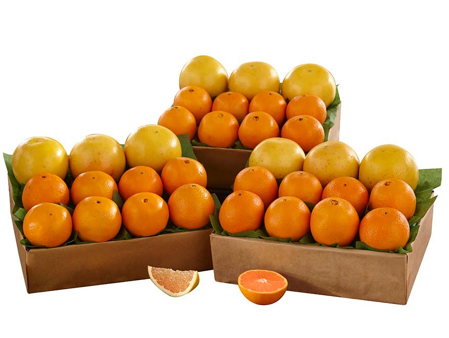 3 Trays Cara Cara Navels & Red Grapefruit