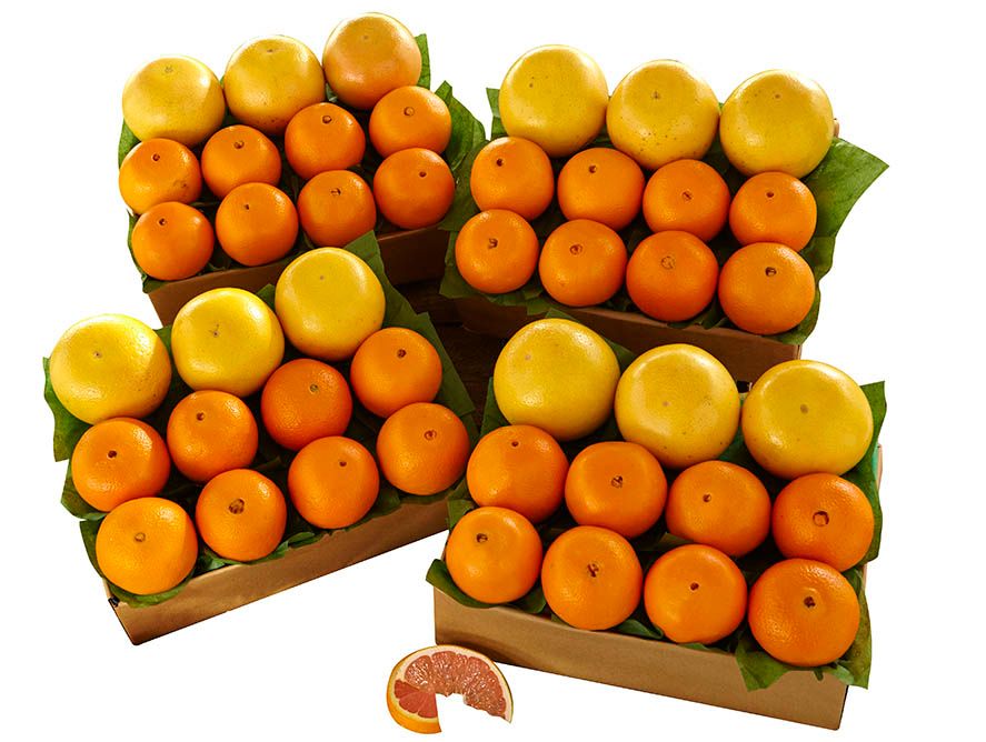 4 Tray Cara Cara Navels & Red Grapefruit