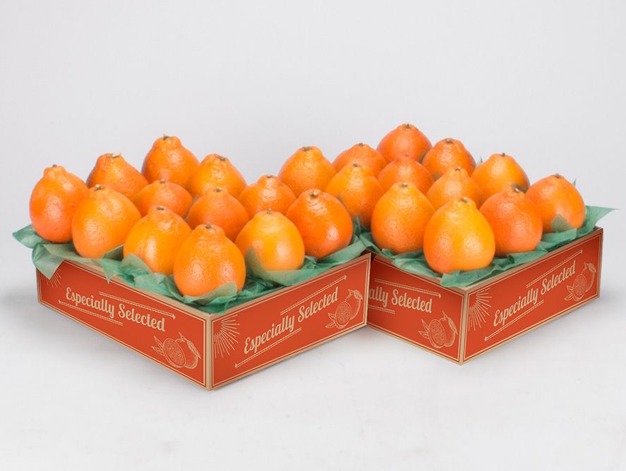 2 Tray Golden Honeybells