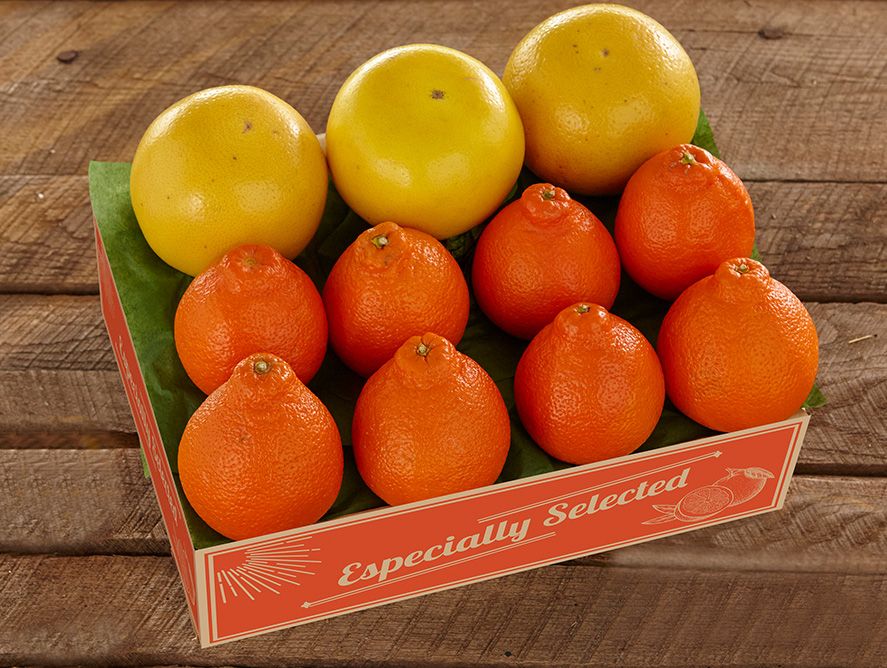 SHC24-HoneybellGrapefruit_04.jpg