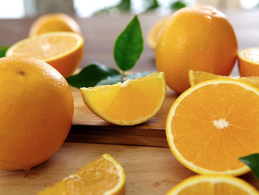 SHC24-ValenciaOranges_01.jpg