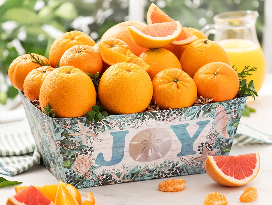 Large Coastal Christmas Citrus Box