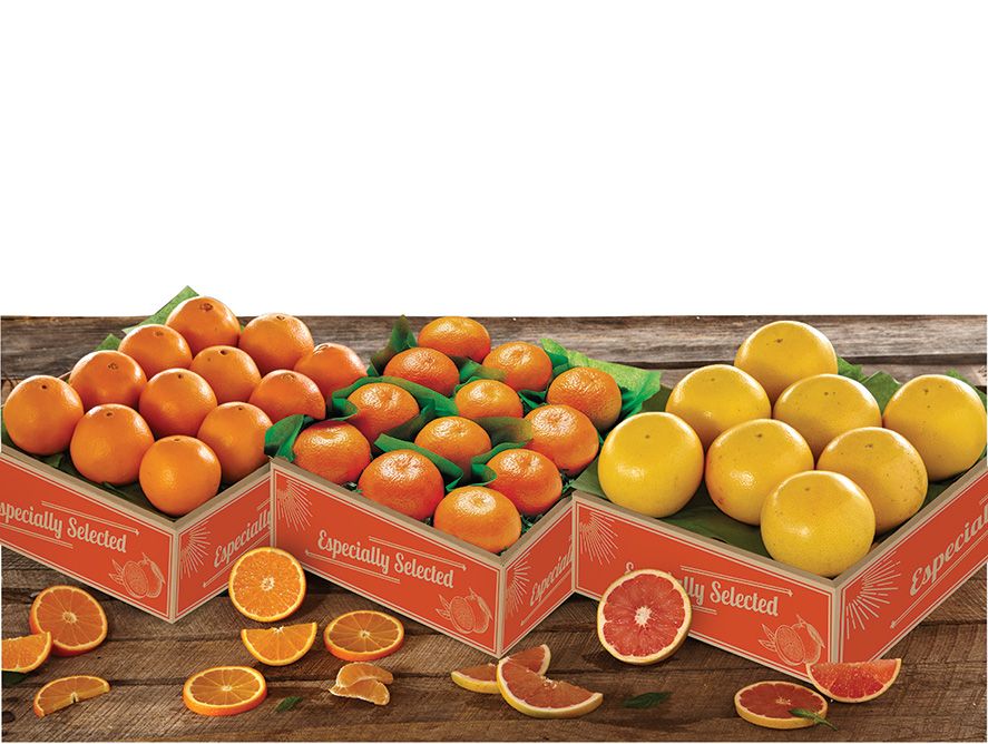 Triple Citrus Bonanza
