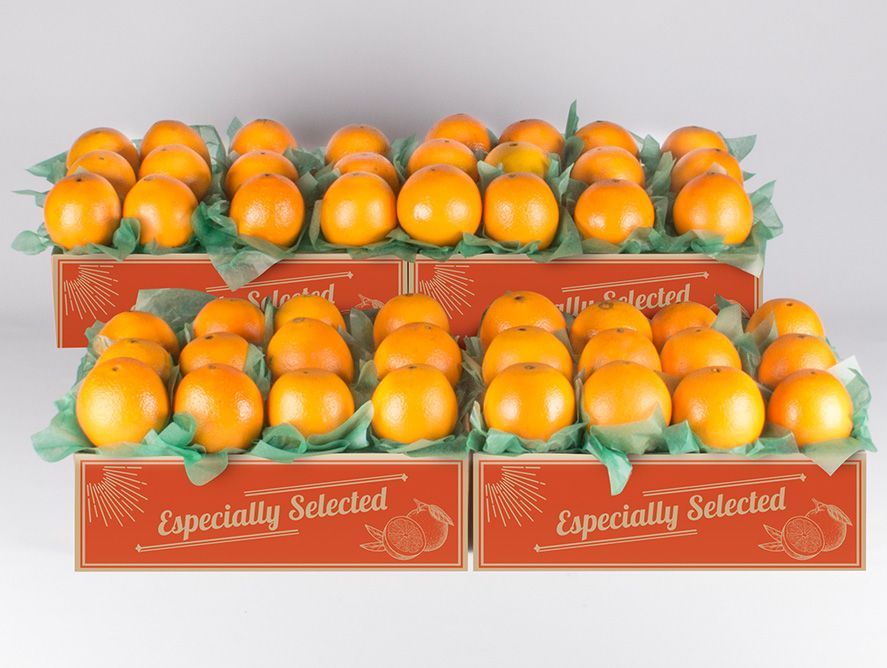 buy-navel-oranges-online_01.jpg