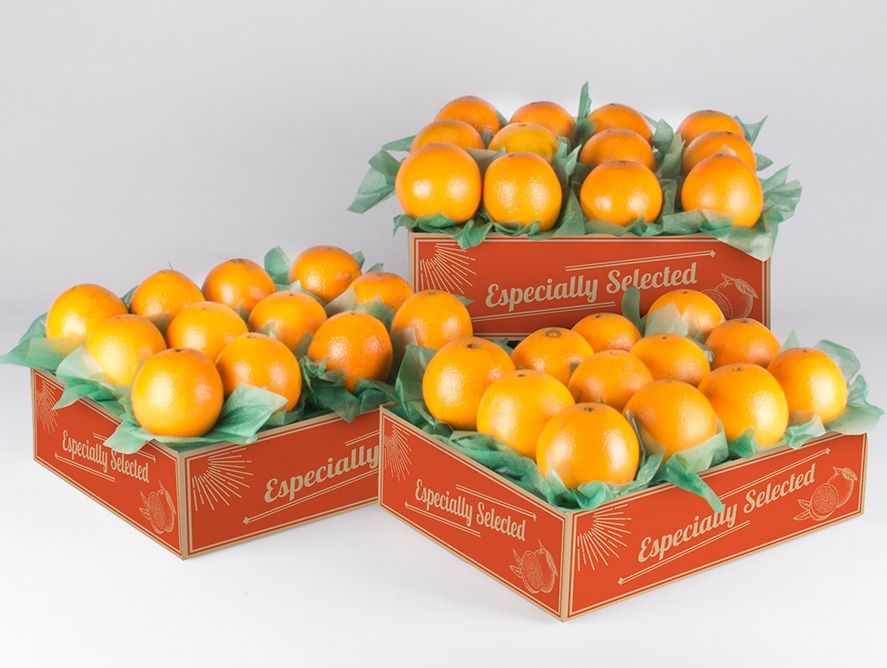 buy-navel-oranges-online_02.jpg