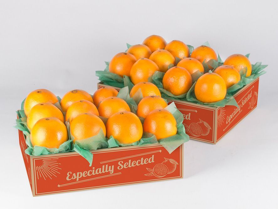 buy-navel-oranges-online_03.jpg