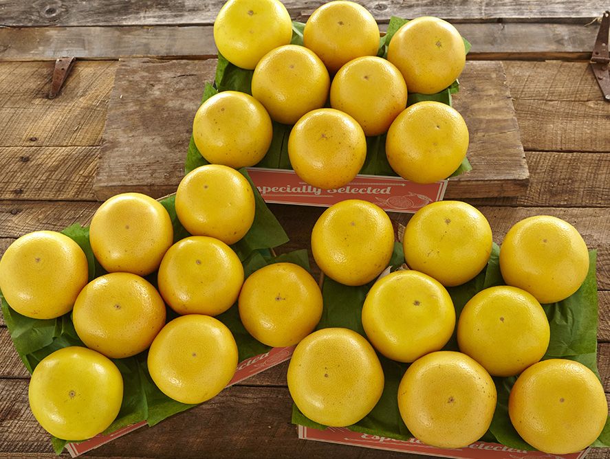 rubyredgrapefruit_02.jpg