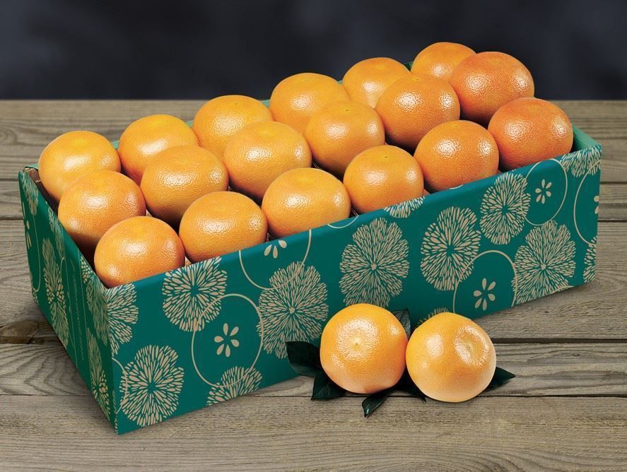rubyredgrapefruit_06.jpg