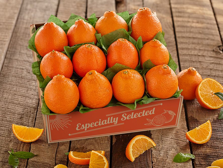sh25-honeybells_05.jpg