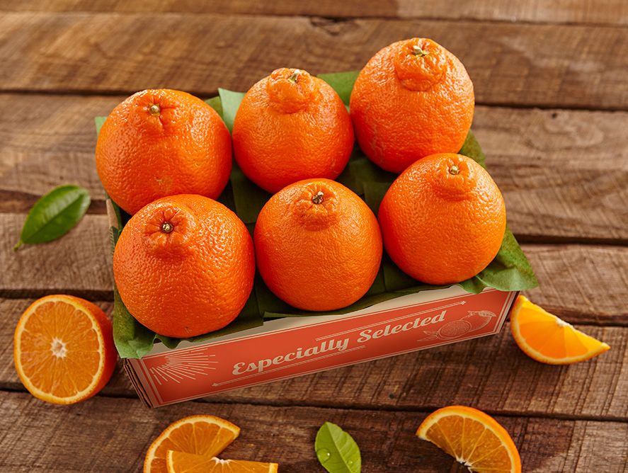 sh25-honeybells_06.jpg