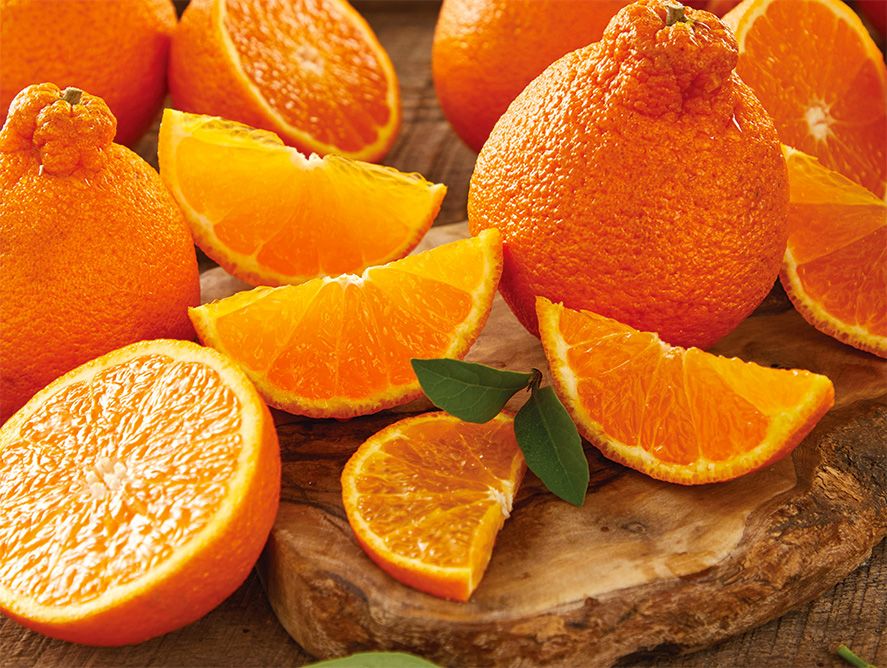 shc24-goldenhoneybells_01.jpg