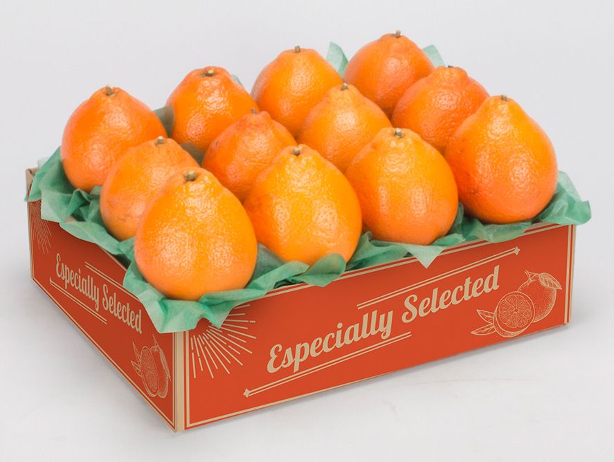 shc24-goldenhoneybells_05.jpg