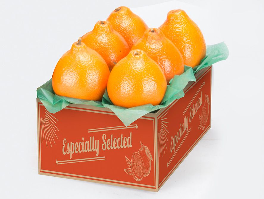 shc24-goldenhoneybells_06.jpg